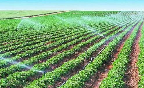 小学女生搞基视频农田高 效节水灌溉
